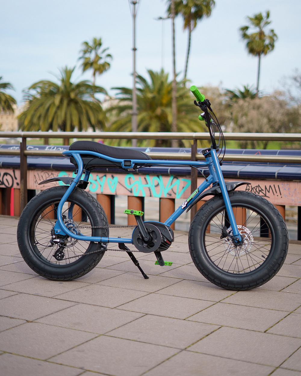 Электровелосипед Ruff Cycles Lil'Buddy SPECIAL EDITION Bosch Active Line 300 Wh Devon Green